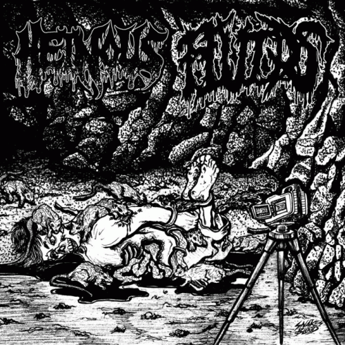 Heinous (USA) : Snuffed - Torture Euphoric
